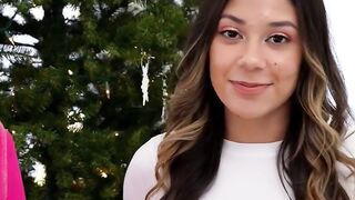SANTAS SLEIGHLOAD OF ASS AT SUNNY PORN XXX