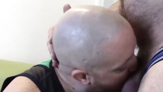 FUcking The Bald Cub Unleashing The Bears Savage Instincts