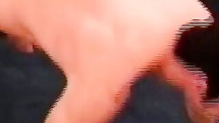 AMERICAN DREAM QUEEN FUCKS DIRTY OLD MAN ON LIVE CAMERA WATCH THE SHOCKINGLY SICK VIDEO NOW!