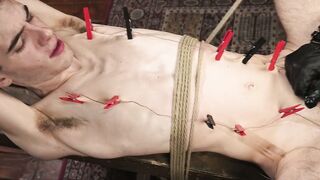 Eddies Brutal Invasion Max MabrysSeal of Submission