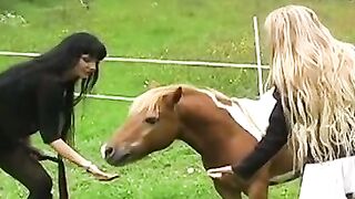 UNLEASH THE HORSE POWER 8INCH MAN MOUNTS UNBRIDLED BEAUTY!