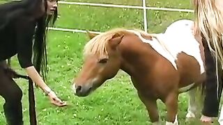 UNLEASH THE HORSE POWER 8INCH MAN MOUNTS UNBRIDLED BEAUTY!
