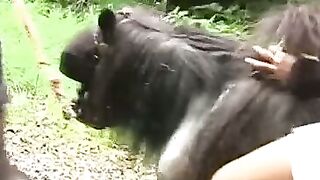 UNLEASH THE HORSE POWER 8INCH MAN MOUNTS UNBRIDLED BEAUTY!