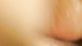 Sharka Blues Insatiable cravings A Curvaceous Queens Epic fucking Orgy