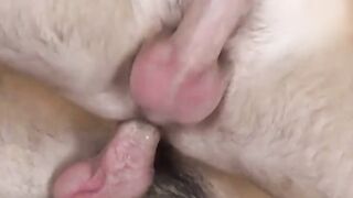 UNLEASH THE BEAST Scott DeMarco and Colton Rivers A HentaiEsque Wet Dream Come True!