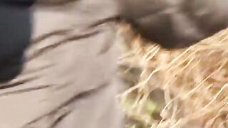 Izabellas Inferno A Succulent Seductress Tamed by the Beast Within