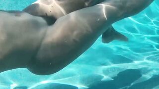 Double Dip Ebony MILF Licks Her Own Pussy Under the Pool