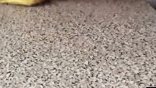 Blonde Bombshell Jakki Louise Gets Destroyed by a Monster Cock  Watch as She Takes Every Inch!!