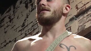 Tyler Castle Swallows Luke Hudson Whole A Servitude of Desire