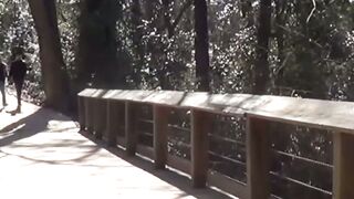 LANCE MATTHEWS UNLEASHES THE BEAST Brogan Reeds Tight, Wet, and WILDly Fucked!
