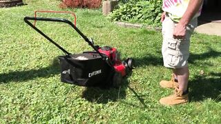 Cougar watches me into play with her garden then blows