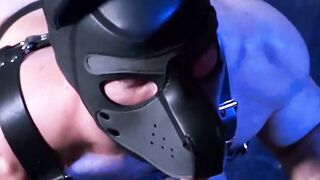 UNLEASH THE BEAST Dominant Lover Tames Submissive Stallion in Brutal Gay Anal Slamming Spectacle! Puppy Mask, Cum so Hard Youll Need a Hamburger!