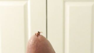 GIANT SHAFT ALERT! Richard Lennox lets tiny boy SUCK HIS MASSIVE 10INCHER  PLAY ON HIS BALLS!