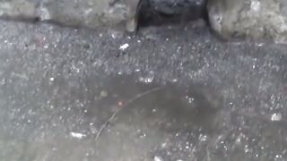 EXPOSED Charms of Japan REVEALED  Secret Peeing Spots EXPOSED!
