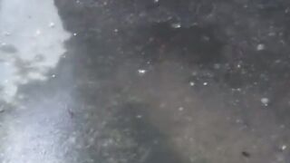 EXPOSED Charms of Japan REVEALED  Secret Peeing Spots EXPOSED!