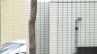 EXPOSED Charms of Japan REVEALED  Secret Peeing Spots EXPOSED!