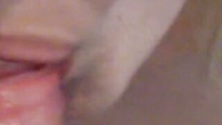 The Big Lie Blondie Falls for theUltimate Con