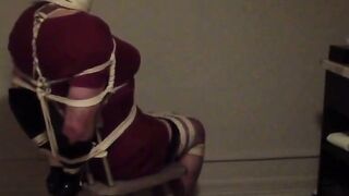 captive bliss  a submissives revenge
