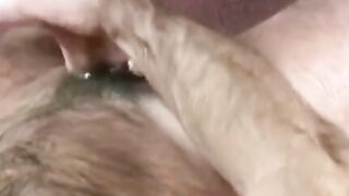 UNLEASH THE BEAST Masked Hairy Giant Unleashes Inferno, Battered by Unbridled Aggression!