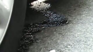 BUSHES OF DESIRE Hidden Camera Catches Japanese Cuties Dirty Peeing Secret!
