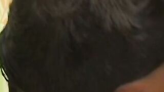UNLEASH THE BEAST Hairy Latino Beast Arouses Young Boys Innocence with Savage Fcking!