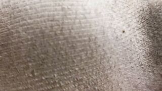 Giant guy Maui lays on the couch showing his smooth size fifteen feet