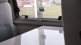 Aproveite a Juneau Russa da Sérvia!