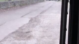 Aproveite a Juneau Russa da Sérvia!