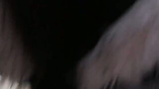 Aproveite a Juneau Russa da Sérvia!