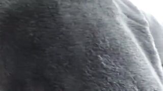 Aproveite a Juneau Russa da Sérvia!