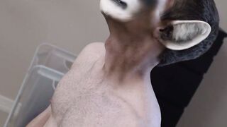 UNLEASH THE BEAST Monster Daddy Claims Hot Little Raccoon Twink in the Woods