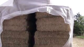 Claudia Ignites Inferno in Haystack Orgy