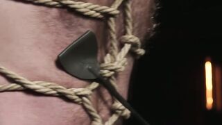 CRUSH DADDYS LAIR OF LUST Miles Fallons Inferno of Pleasure and Pain!