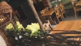 Outdoors Spycam he Jizzed on me