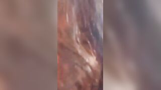 Bhabhi DoggyStyl Sex with Ex Bf