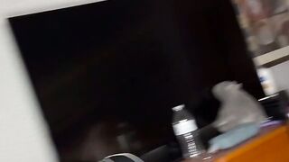 Vagabunda imunda chupando tudo