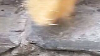 THE FLOOR IS ON FIRE! Channels Sweeping Session Descends into a WILD and SPONTANEOUS Orgy of Sweat, Flesh, and Lust