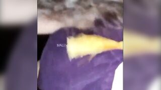 Indian Siren Unleashed Insatiable Blowjob  Wild Fucking Frenzy!