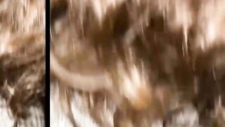 THE ULTIMATE CINEMA SINFUL EXPERIENCE Devouring a Naymed Goddess in Public! Extreme Public Blowjob  Muddy Fuckyfucky