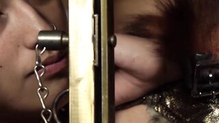 Draven Navarro Unleashes Fierce Beast within Pixi Lust Witness the Apocalypse of Wet Ass Glory!