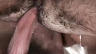 UNLEASH THE BEAST 4 Hairy Muscle Hombres Pound Each Others Faces Mercilessly in Sizzling Sex Frenzy!