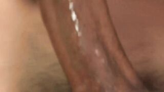 "Hair Bear's Anal Adventure with Horny Matteo - Scene #1"