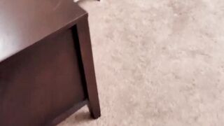 STEPDADDY STEALS THE SHOW Petite Cutie GOES CRAZY FOR HIS GIANT COCK!