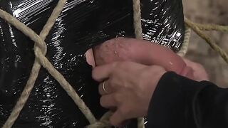 UNLEASH THE DEPTHS OF DEBAUCHERY Blindfolded Slave Suffers at the Hands Literally of a Vile Master