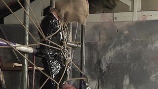 UNLEASH THE DEPTHS OF DEBAUCHERY Blindfolded Slave Suffers at the Hands Literally of a Vile Master