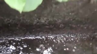 JAPANESE CUTIE PEE PORN EXPOSED!!! She Pees So Much Youll Need A BUCKET!!!