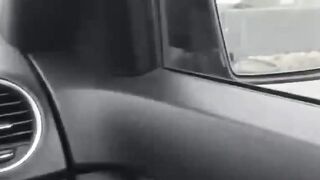 Carnal Encounter A Ride to Ecstasy