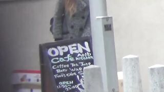 Private Peeing Partners Japanese Cuties Caught on Hidden Cam in Shocking Public Toilet Raid!