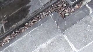 Exclusive Japanese Cuties Caught Peeing in Public  You Wont Believe What Happens Next!