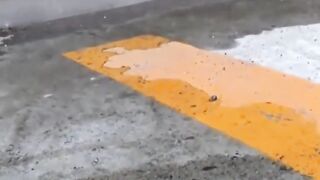 EXPLOSIVE LEAK Japanese Cuties Caught Peeing in Public  You Wont Believe What Happens Next!